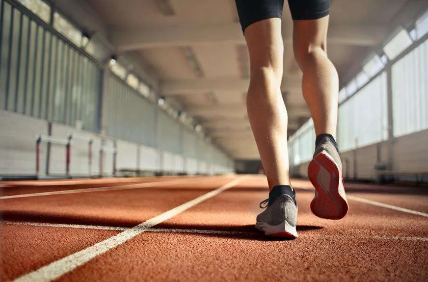 Overview of integrated well-being programs showing movement, breathing, and nutrition tracks